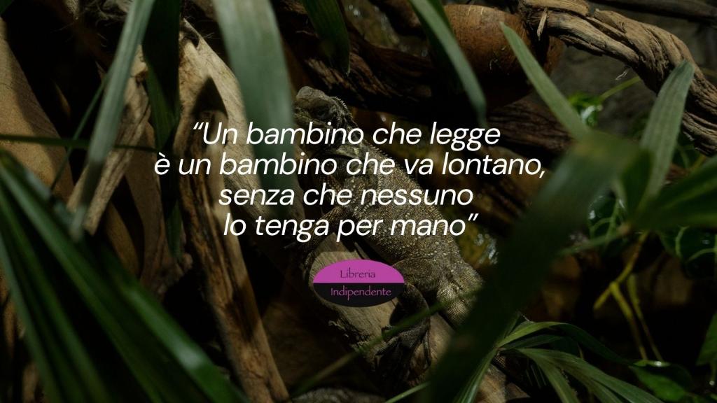 Un libro è un sogno che tieni tra le mani (1).png